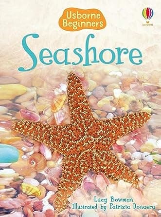Seashore: (Beginners)