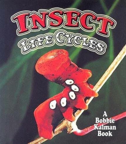 Insect Life Cycles: (World of Insects)