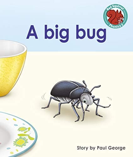 A big bug: (Red Squirrel Phonics Level 2)