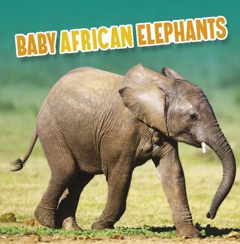 Baby African Elephants: (Baby Animals)