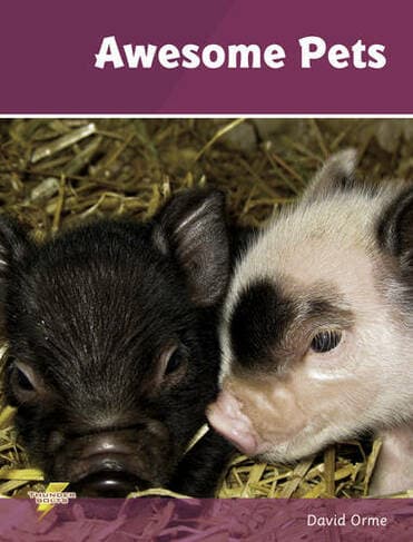 Awesome Pets: Set 3 (Thunderbolts)