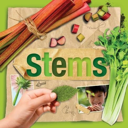Stems: Plant Parts