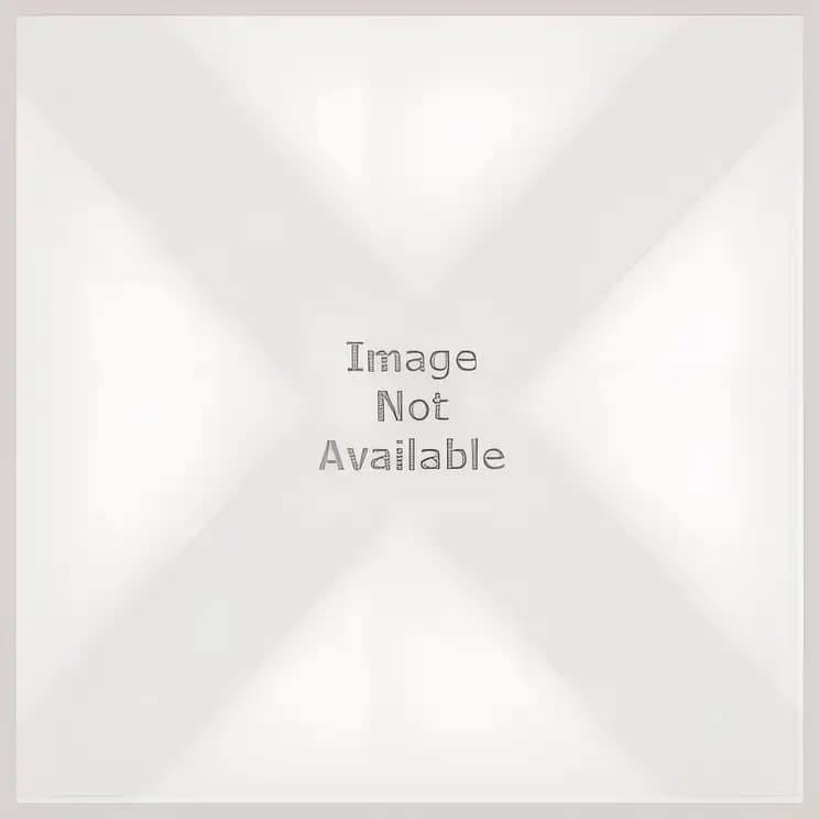 The Phantom Freighter