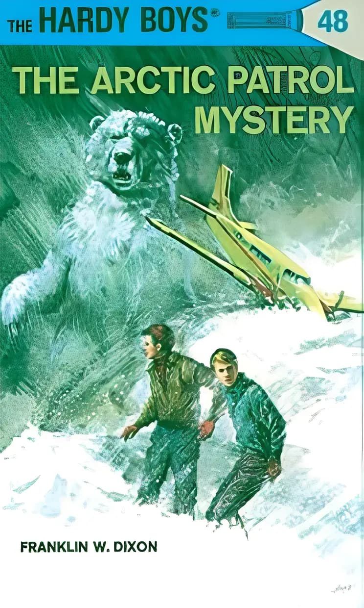 The Arctic Patrol Mystery