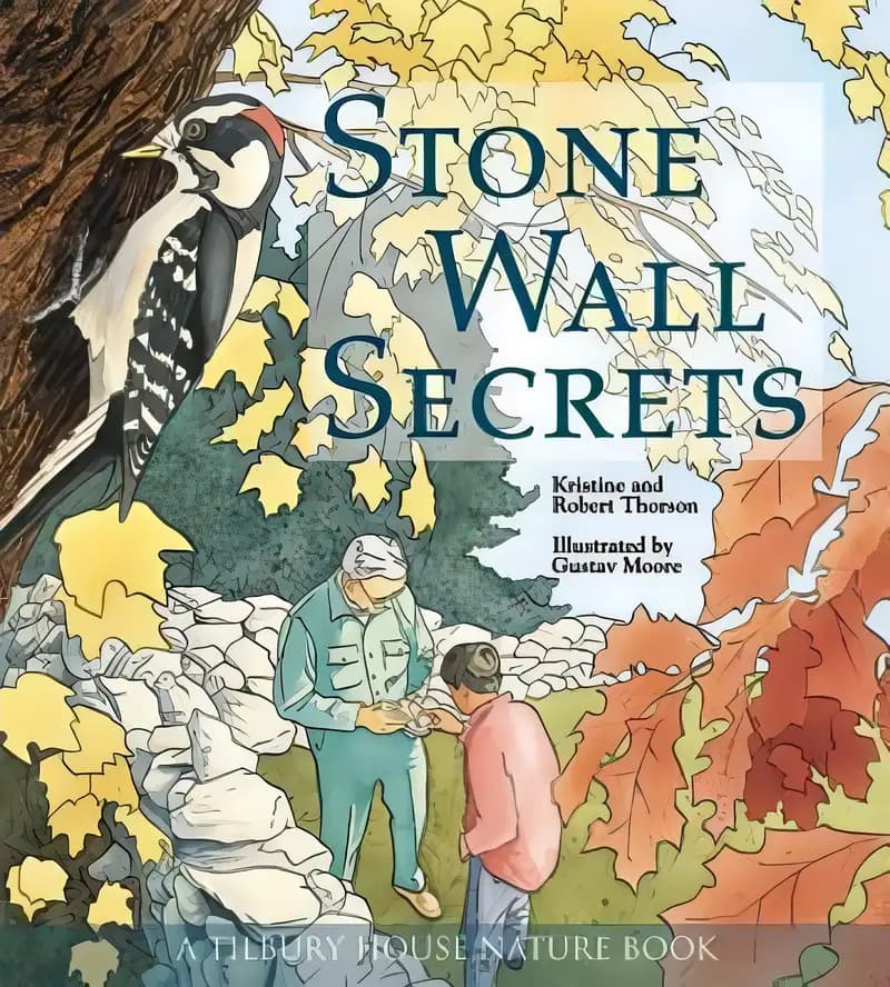 Stone Wall Secrets