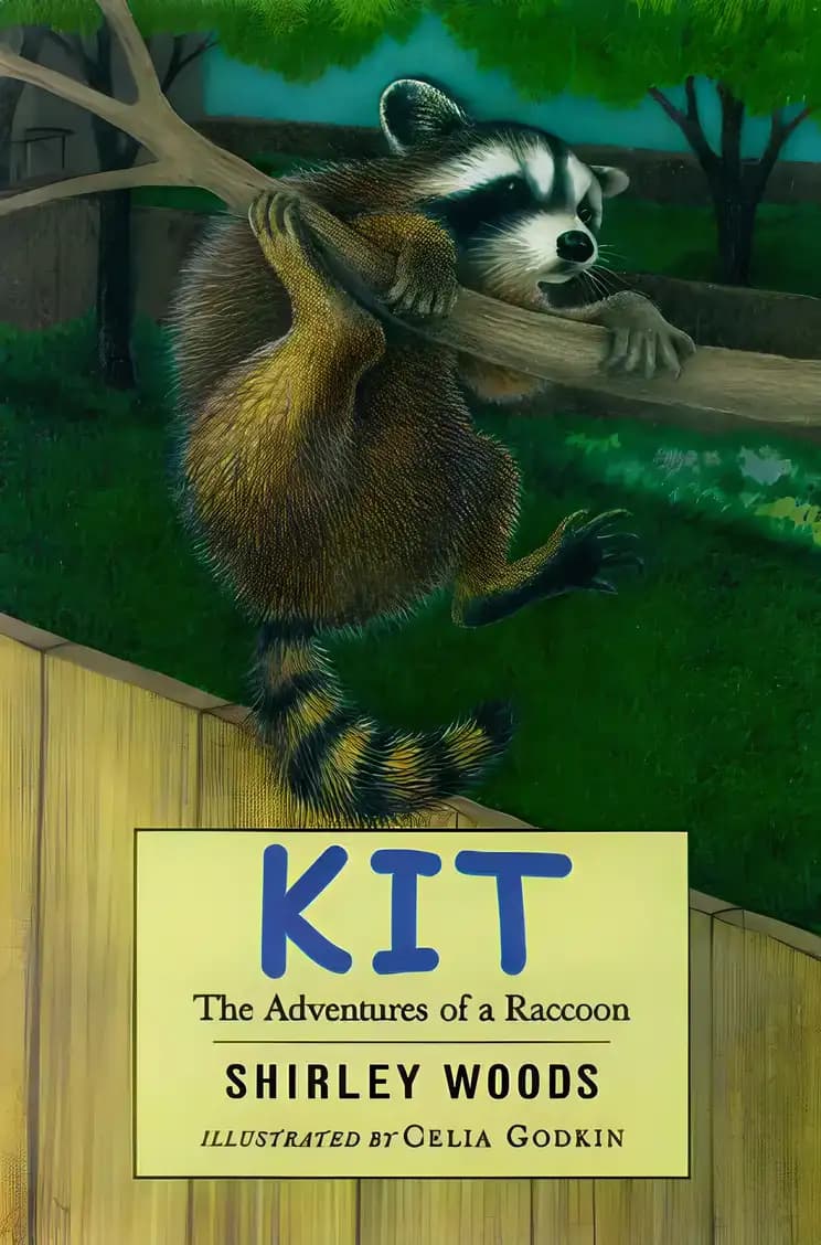 Kit: The Adventures of a Raccoon