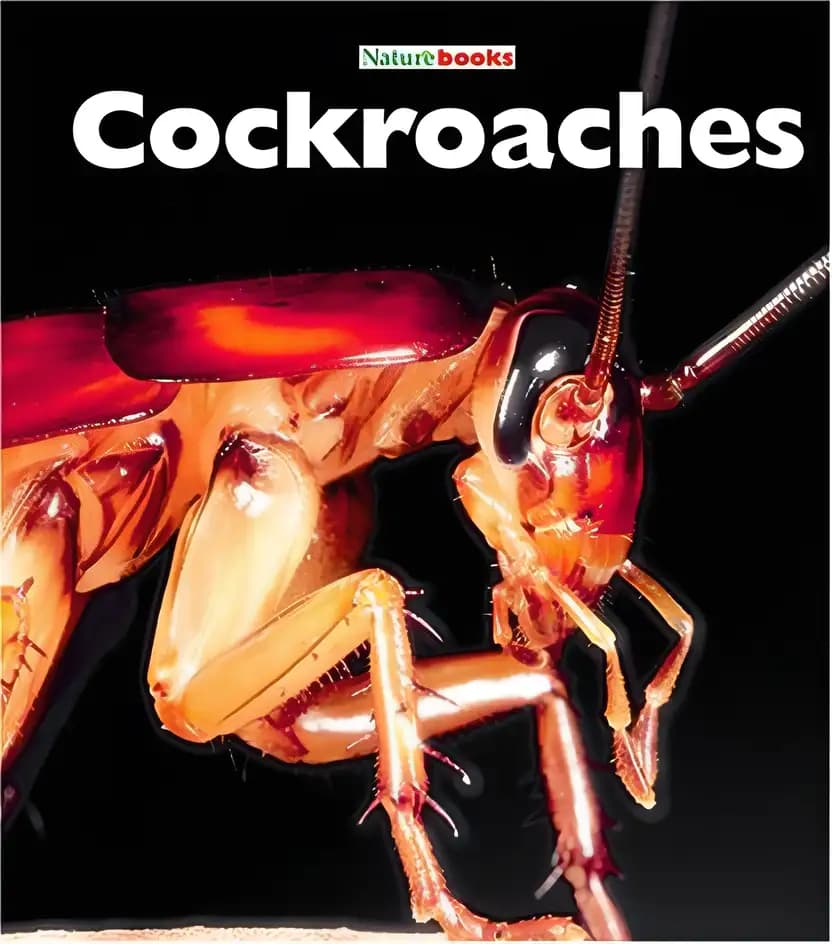 Cockroaches