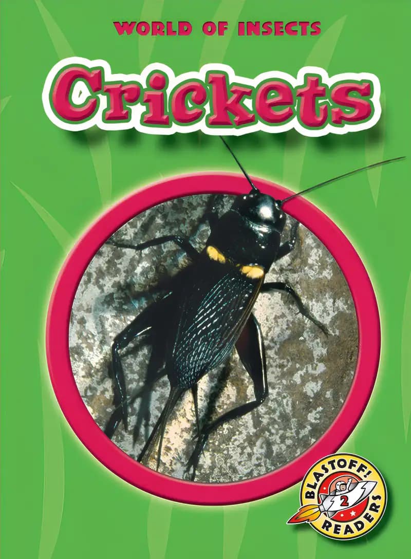 Crickets